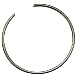 Ring Insert