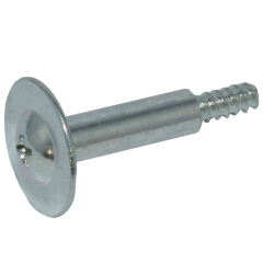 Mount Screw