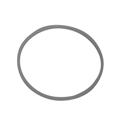 Oil Equalizer O-Ring