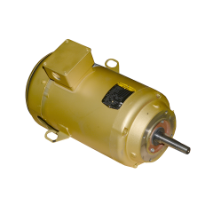 Pump Motor