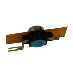 Temperature Switch