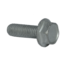 Screw