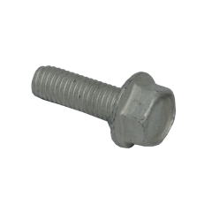Screw