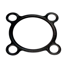 Discharge Flange Gasket