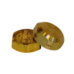 Suction Line Service Valve Caps (2)