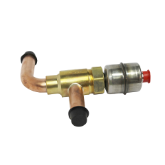 Electronic Expansion Valve