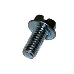 Screw