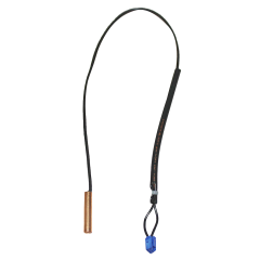 Temperature Sensor