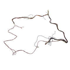 Economizer Harness