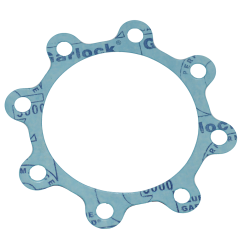 Valve Gasket