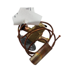 EXV Valve