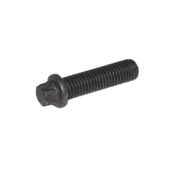 Torx Bolt