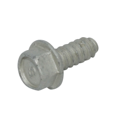 Screw