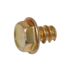 Screw