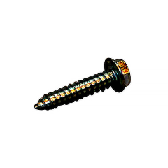 Screw