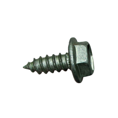 Screw