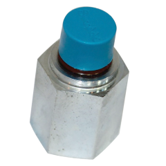 Oil Drain Plug