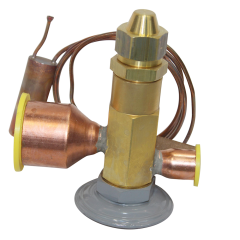 Thermostatic Expansion Valve