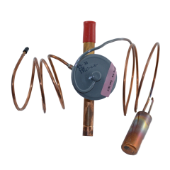 Thermostatic Expansion Valve