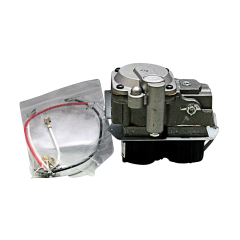 Gas Valve