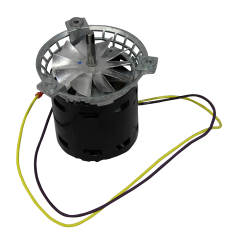Inducer Motor