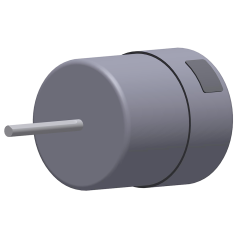 Blower Motor