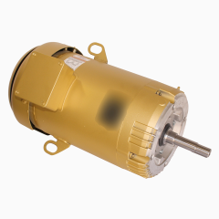 Pump Motor