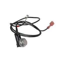 Temperature Switch