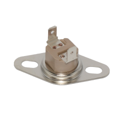 Temperature Switch