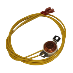 Temperature Switch