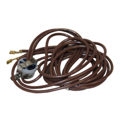 Temperature Switch