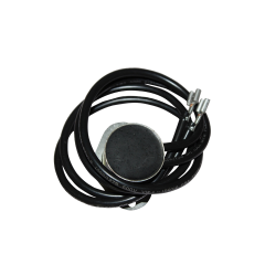 Temperature Switch