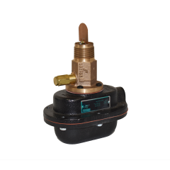 Flow Switch