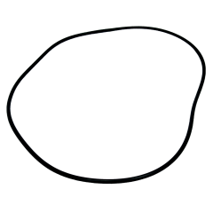 O-Ring
