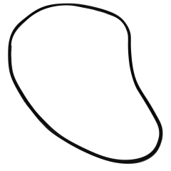 O-Ring