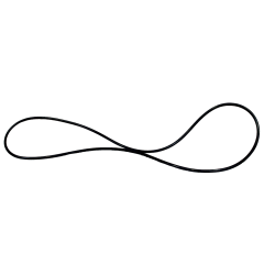O-Ring