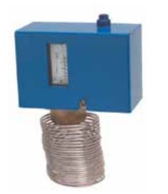 Low-Limit Temperature Control, DPDT, Manual Reset, 20 ft .Cap